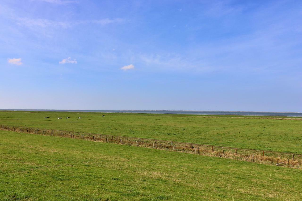 Ferienwohnungen "Zur Friesen Freude" - Nur Fuer Feriengaeste Dornum Buitenkant foto
